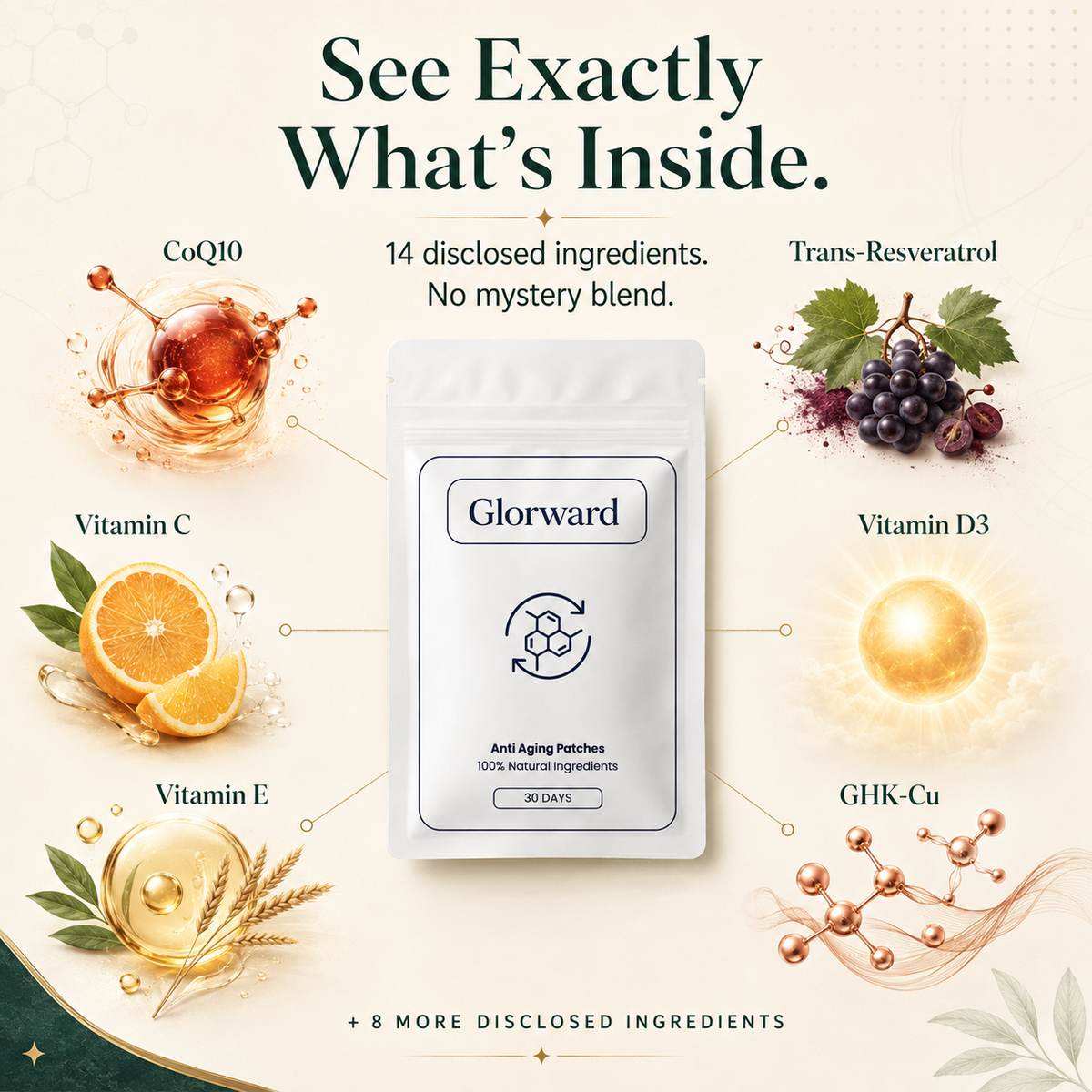 Glorward™ Daily Matrix Patch — 14-Nutrient Matrix Formula· Up to 8-Hour Daily Wear